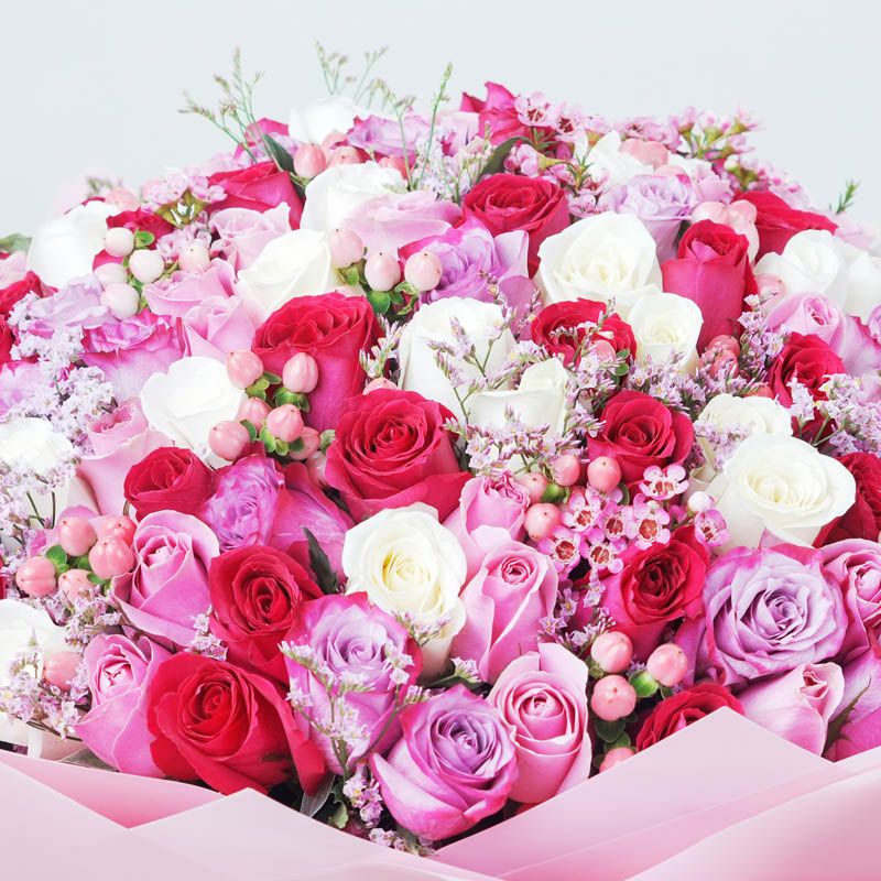 Pretty Lady 151 Roses thumbnail 3