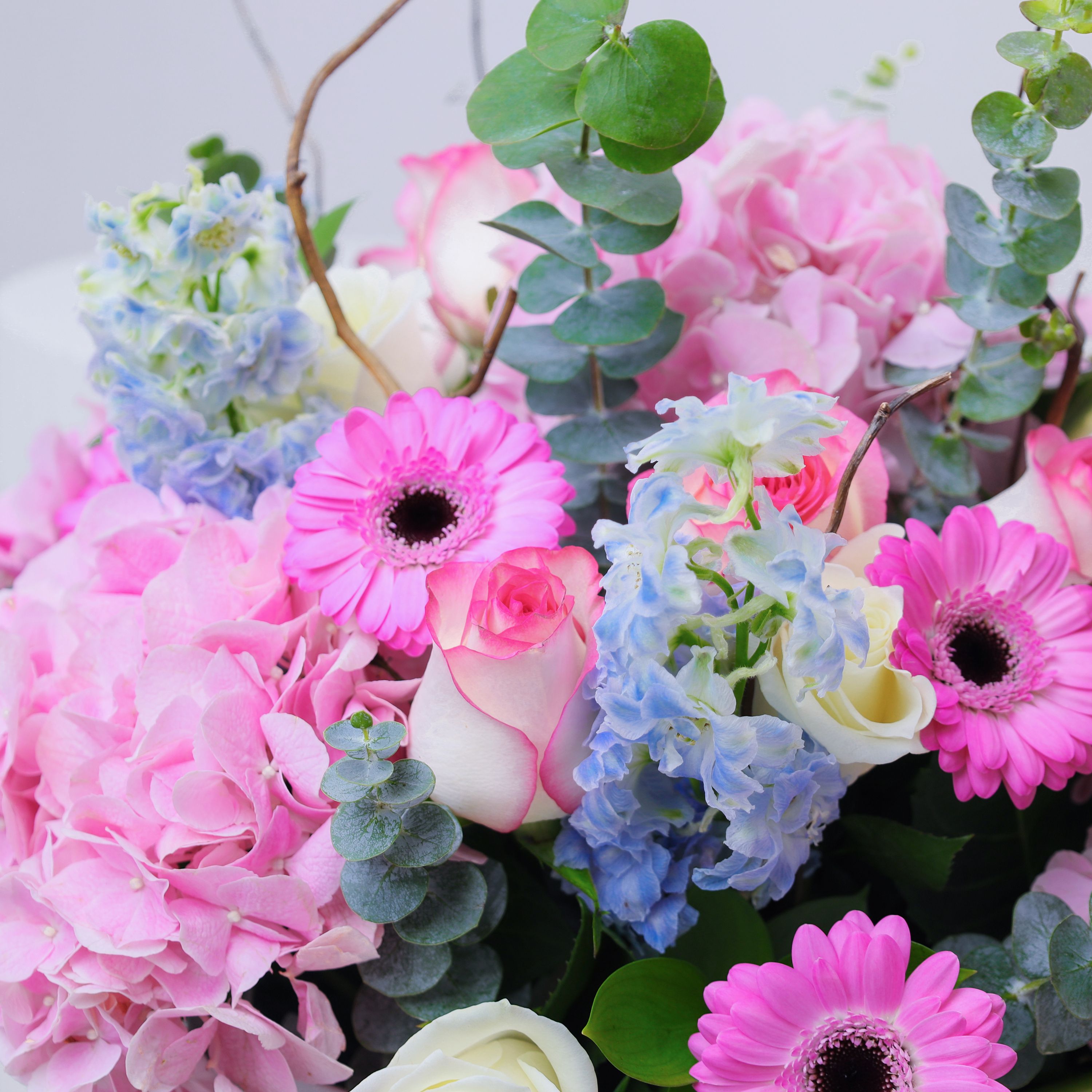 Elite 37 Flower Box thumbnail 3