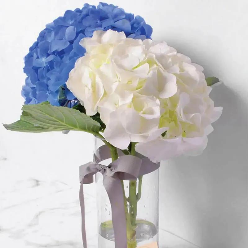 Cloud and Sky thumbnail 2