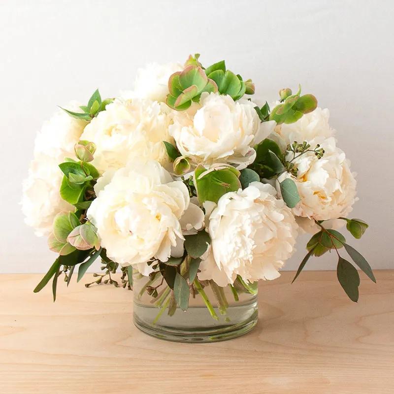 freeze-11-white-peonies_1.webp