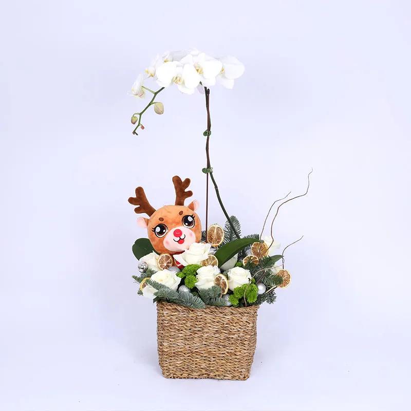 jolly-winter-arrangement_1.webp