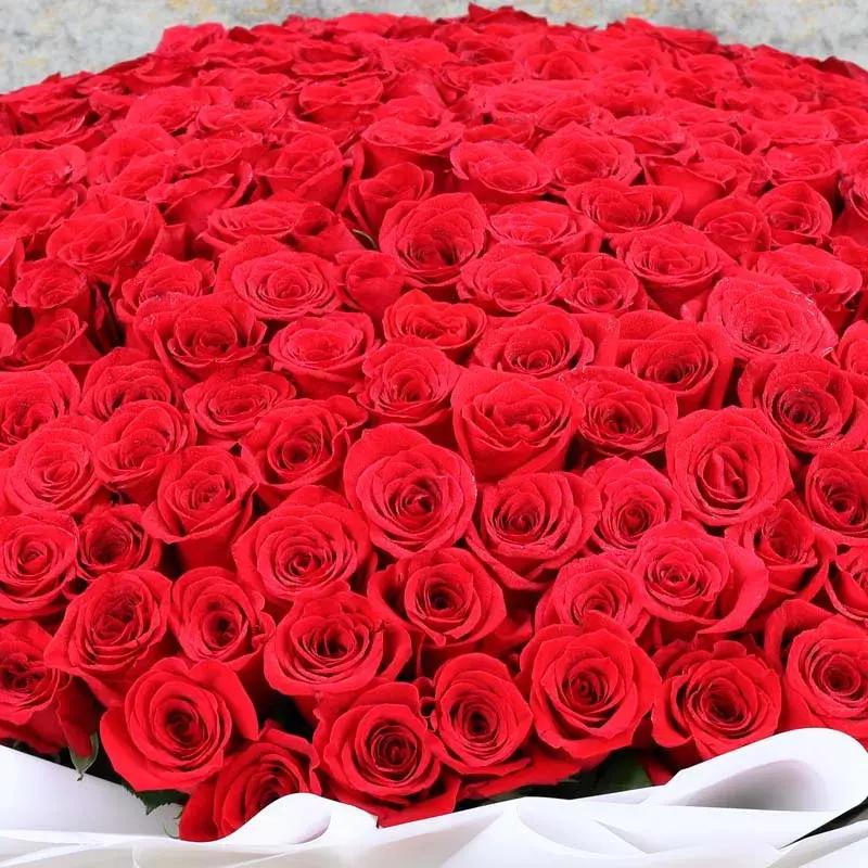 Grand Love Bouquet 401 Red Roses thumbnail 3