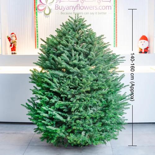 Fresh Premium Christmas Tree 150cm 1