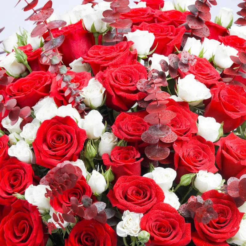Grand Romance 151 Roses in Box - Flowers gift from Buy Any Flowers Dubai in Al Quoz Industrial Area 4, Dubai, UAE - image 2