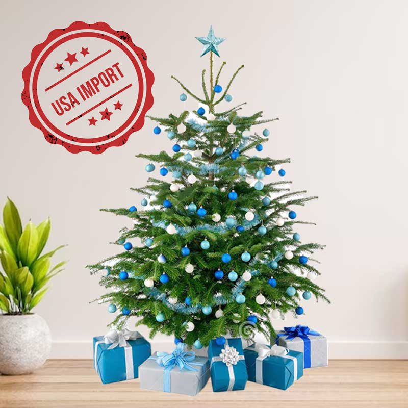 Fresh Premium Christmas Tree 250cm variant