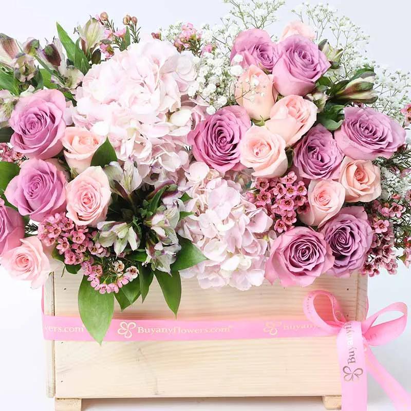 Pure Love Pastel thumbnail 3