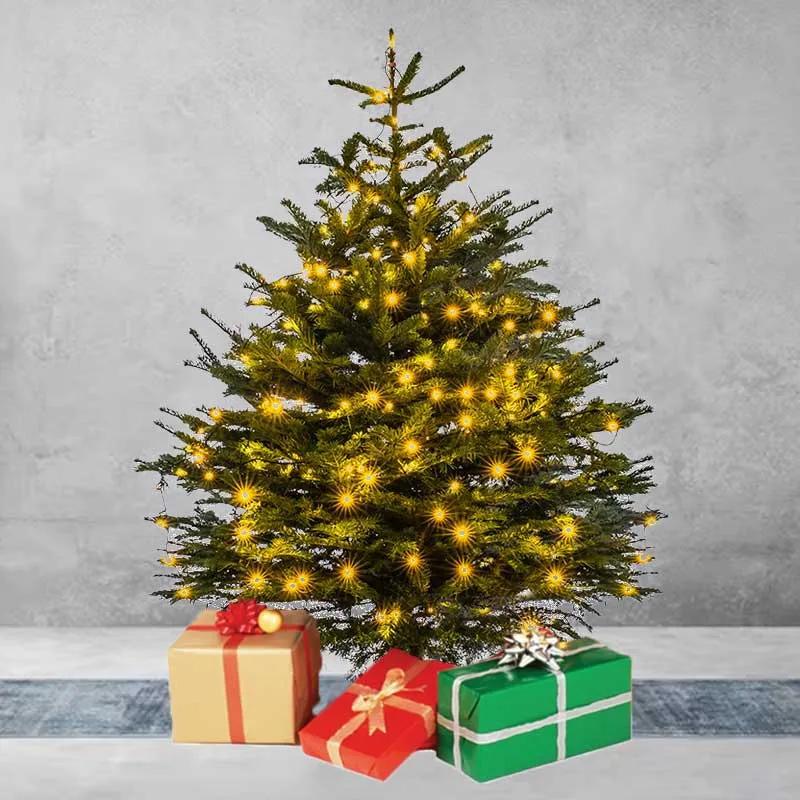 Fresh Christmas Tree 210cm variant