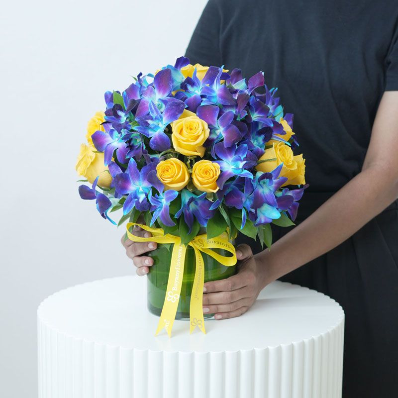 My Guiding Light thumbnail 2