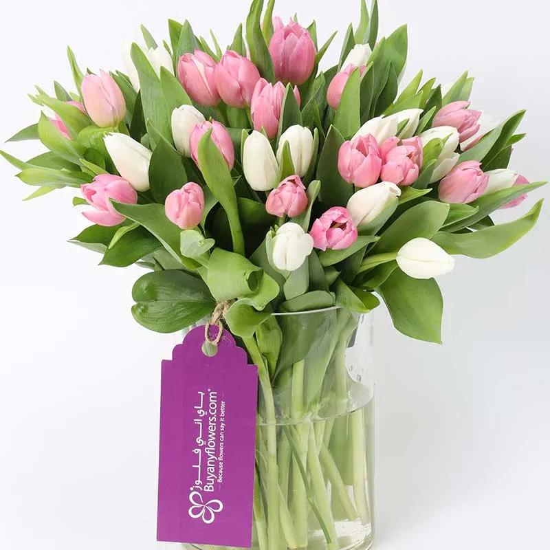 Calm and Beauty 51 Tulips thumbnail 2