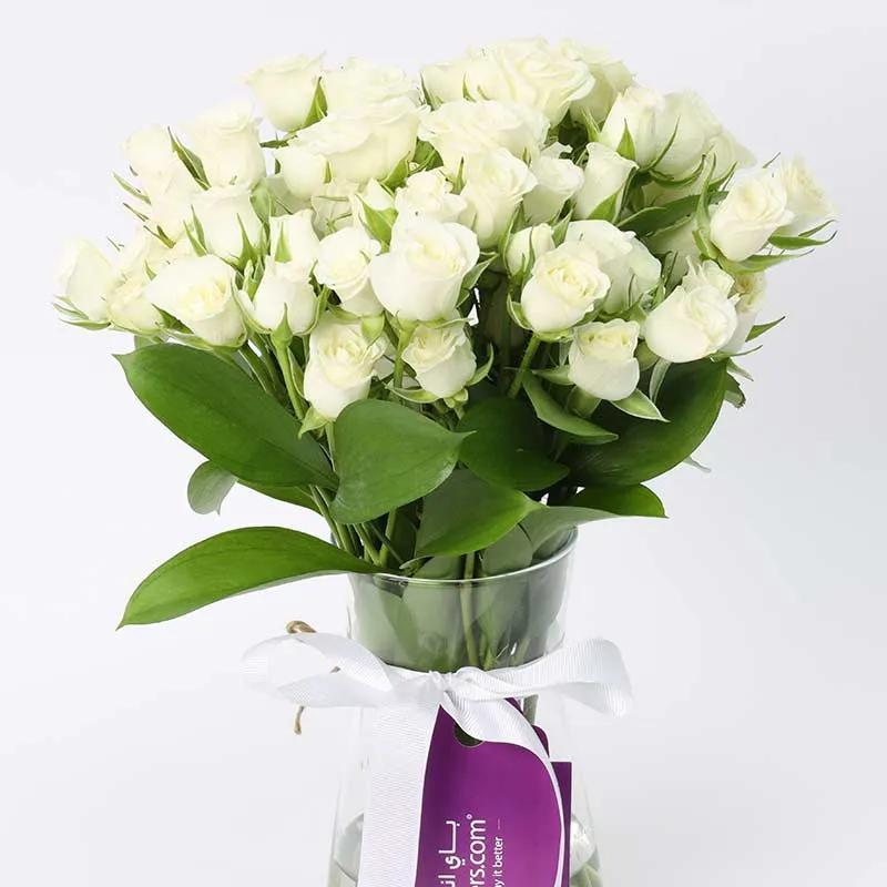 Peace 11 White Baby Roses thumbnail 2