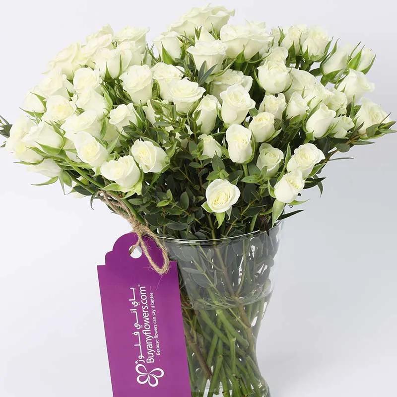 Peace 21 White Baby Roses thumbnail 2