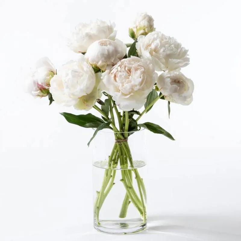 Freeze 9 White Peonies in Dubai