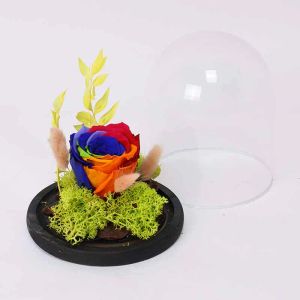 forever-rainbow-rose-in-dome_1.webp