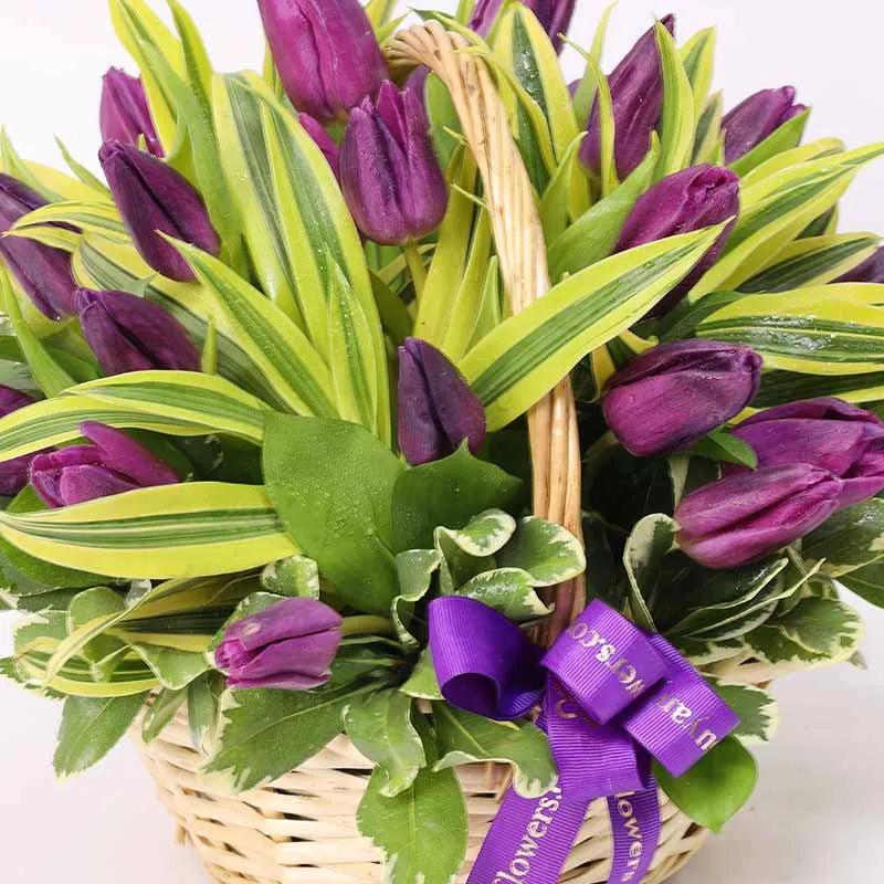 Purple Forest 25 Tulips Basket thumbnail 3