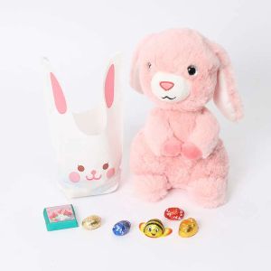 bunny-chocolate-bag-and-soft-toy-pink_1.webp