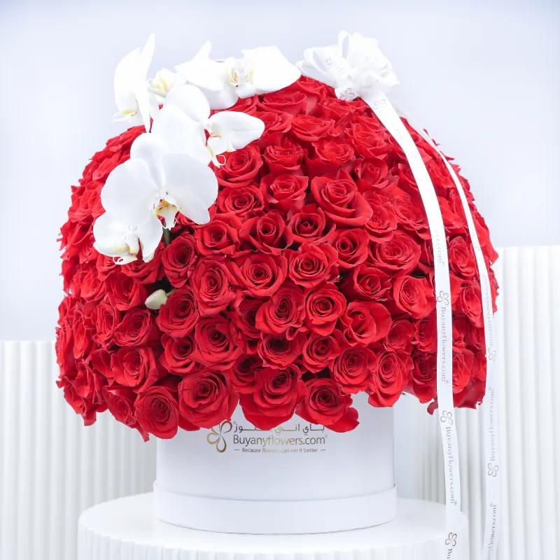 My Queen 251 Red Roses in Box - Flowers gift from Buy Any Flowers Dubai in Al Quoz Industrial Area 4, Dubai, UAE