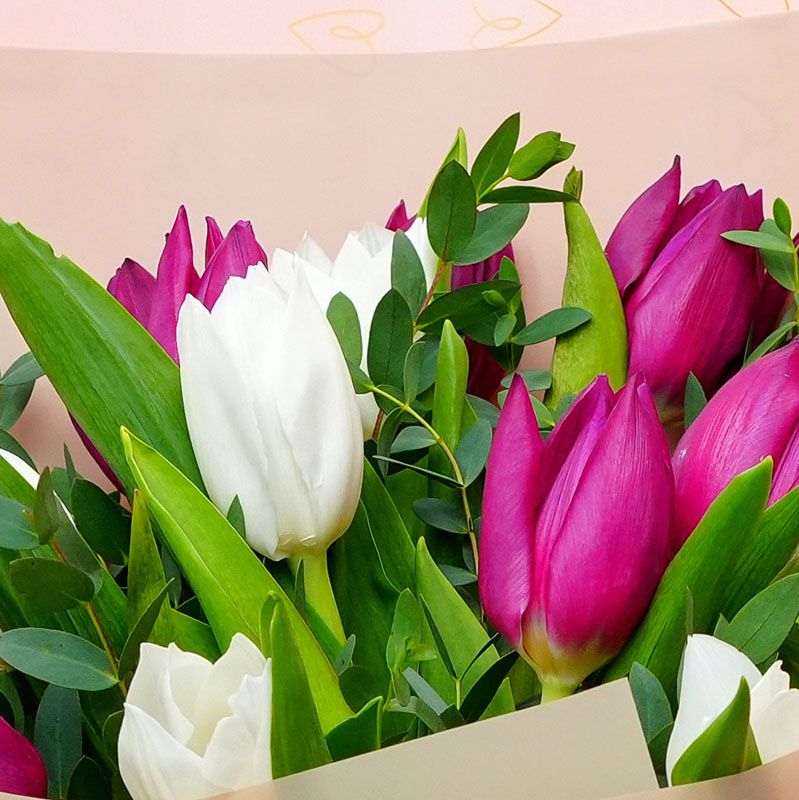 Beauty 21 Purple and White Tulips Bouquet - Flowers gift from Buy Any Flowers Dubai in Al Quoz Industrial Area 4, Dubai, UAE - image 2
