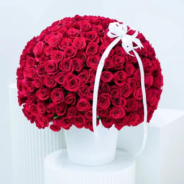 Love 201 Red Roses Arrangement in Dubai