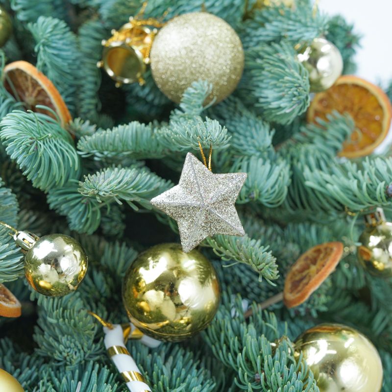 Christmas Tree Shape Arrangement Golden - Gifts gift from Buy Any Flowers Dubai in Al Quoz Industrial Area 4, Dubai, UAE - image 3