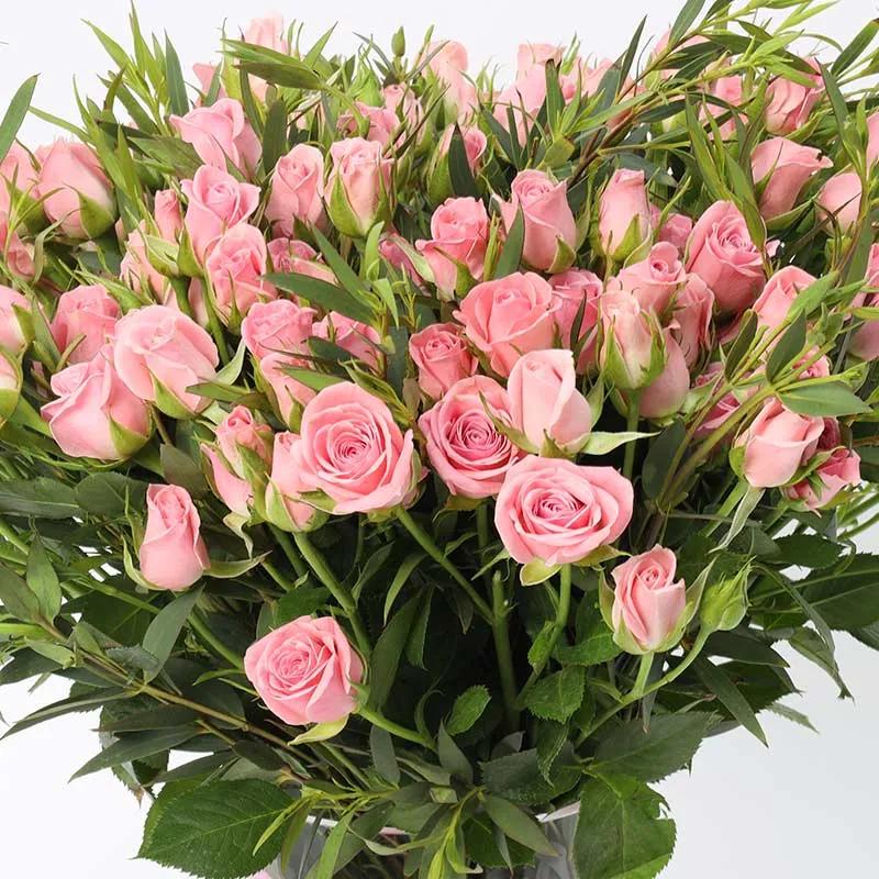 Raw Beauty 21 Pink Baby Roses - Flowers gift from Buy Any Flowers Dubai in Al Quoz Industrial Area 4, Dubai, UAE - image 3