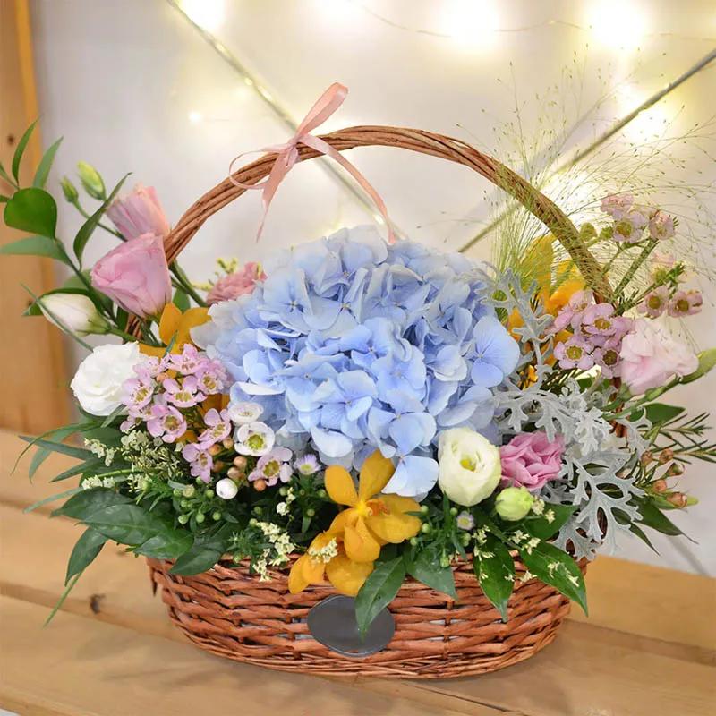 colourful-life_1.webp