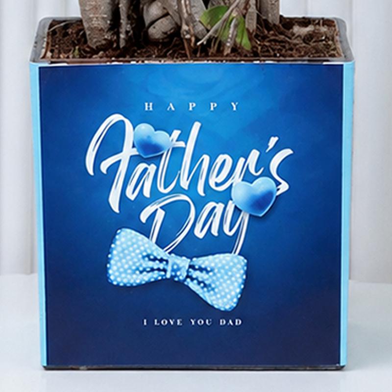 Fathers Day Bonsai Plant - Plants gift from Buy Any Flowers Dubai in Al Quoz Industrial Area 4, Dubai, UAE - image 3