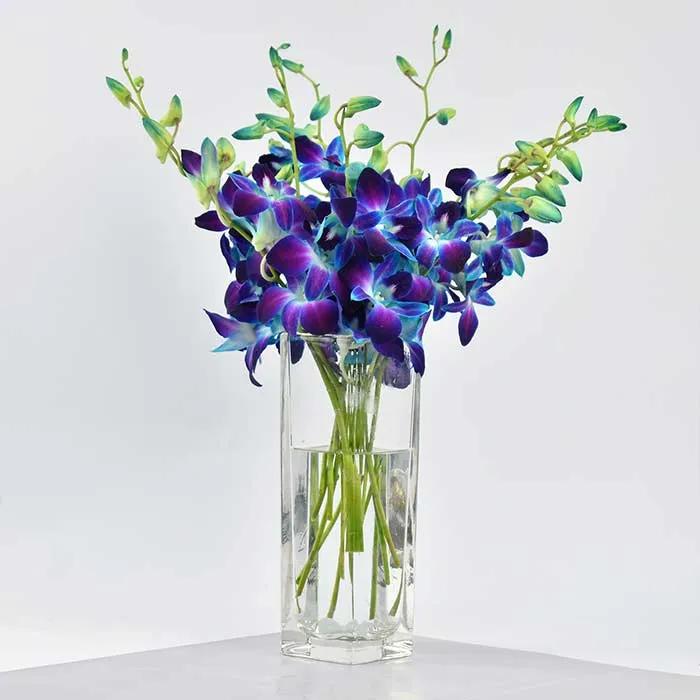 royal-blue-orchids-vase_1.webp