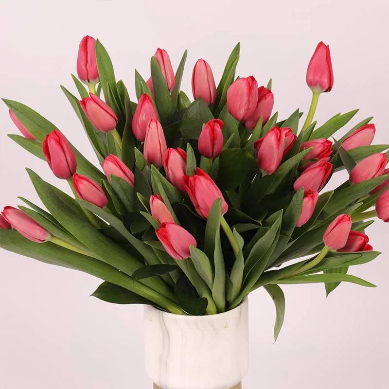 Scarlet 31 Red Tulips thumbnail 3