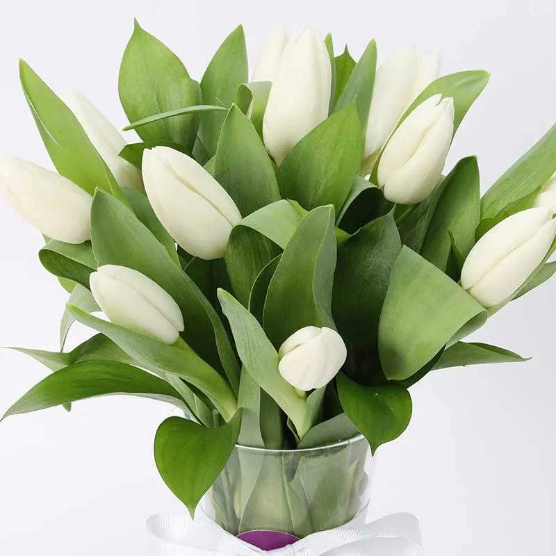 Calm 11 White Tulips thumbnail 3