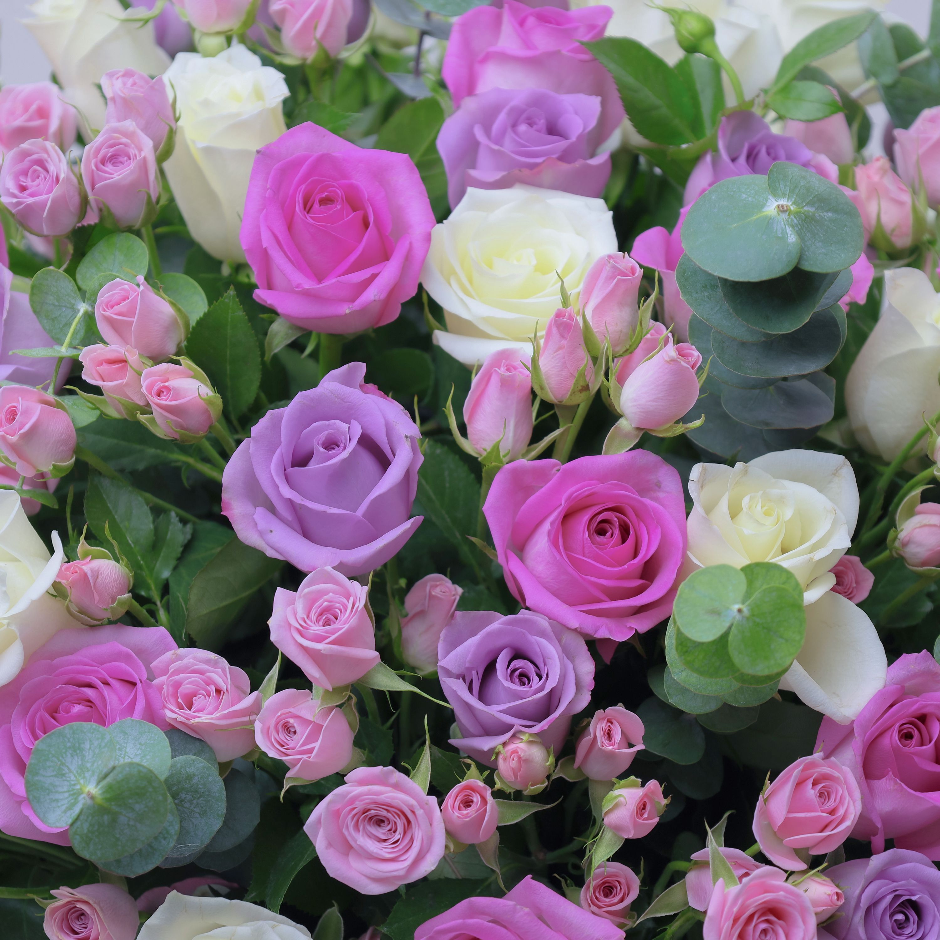 Pastel Beauty 95 Flower Box thumbnail 3