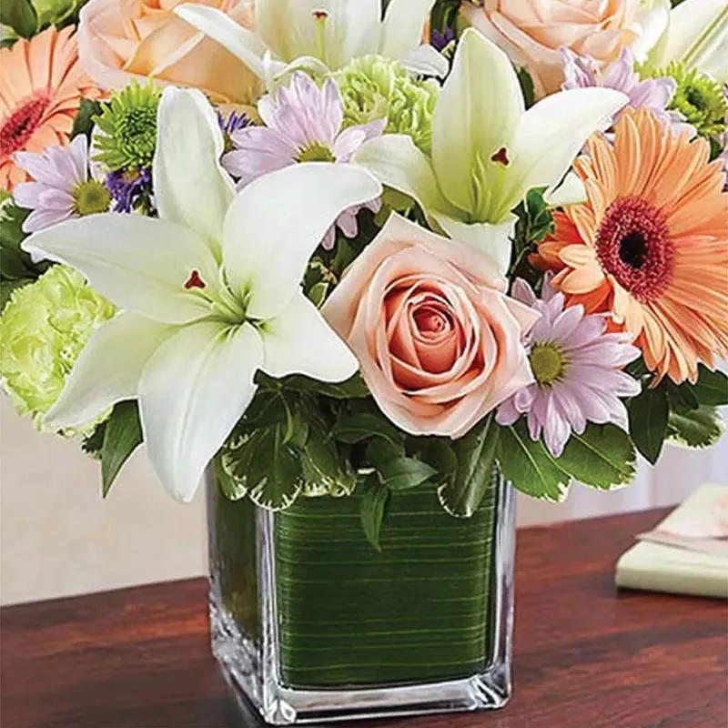 Healing Sorrow Peach and White thumbnail 3