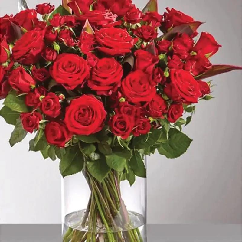 Roses Appreciation thumbnail 2