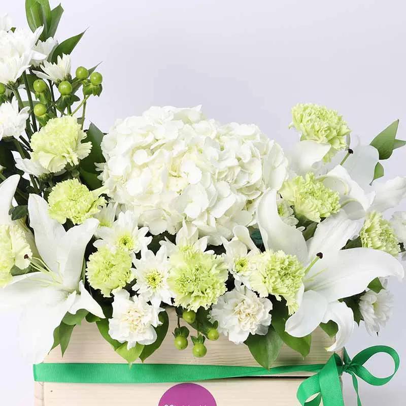 Peaceful Blessings thumbnail 3