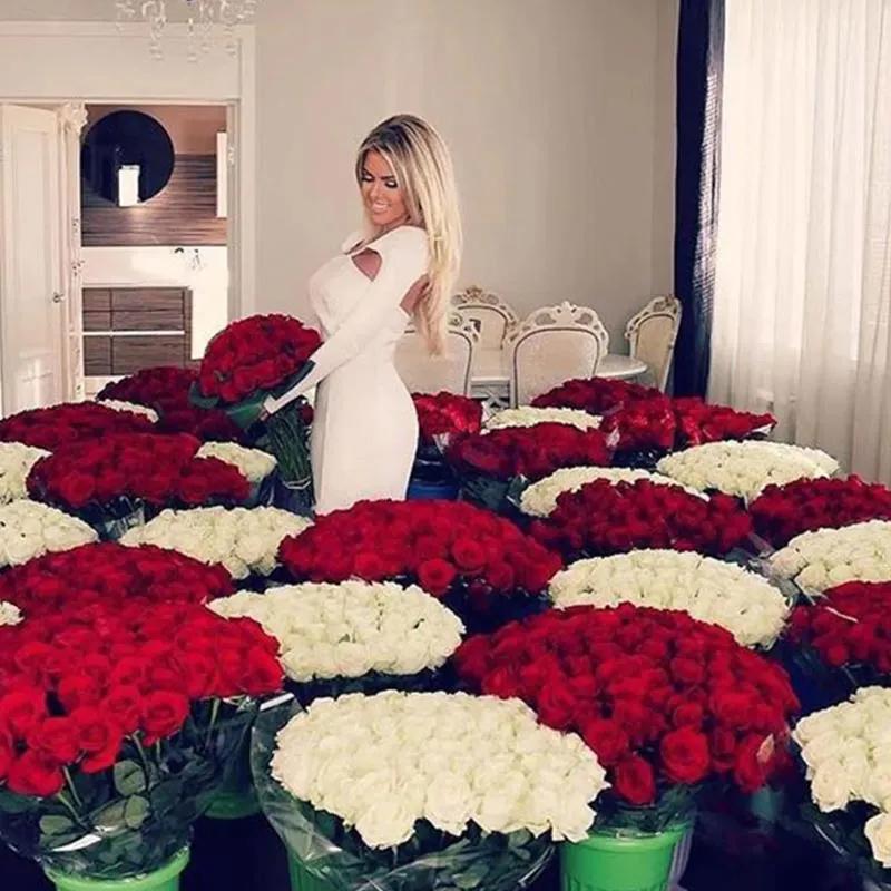 love-garden-2100-roses_1.webp