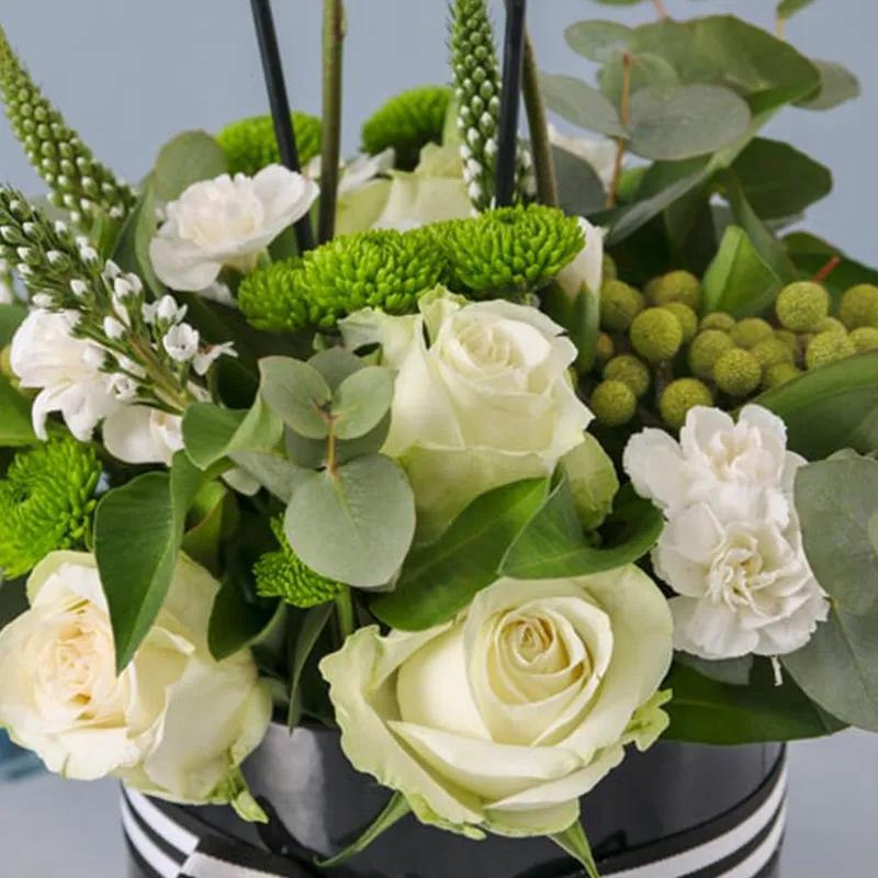 Thought Plants and Flowers in Box - Plants gift from Buy Any Flowers Dubai in Al Quoz Industrial Area 4, Dubai, UAE - image 2