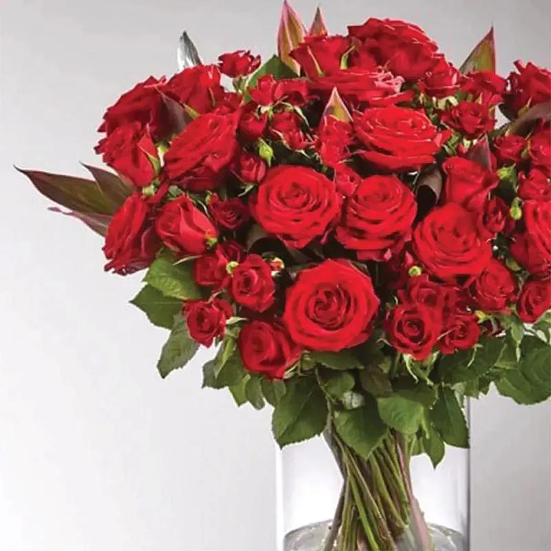 Roses Appreciation thumbnail 3