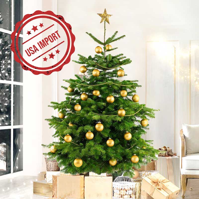 Fresh Premium Christmas Tree with Golden Decorations 230cm 1