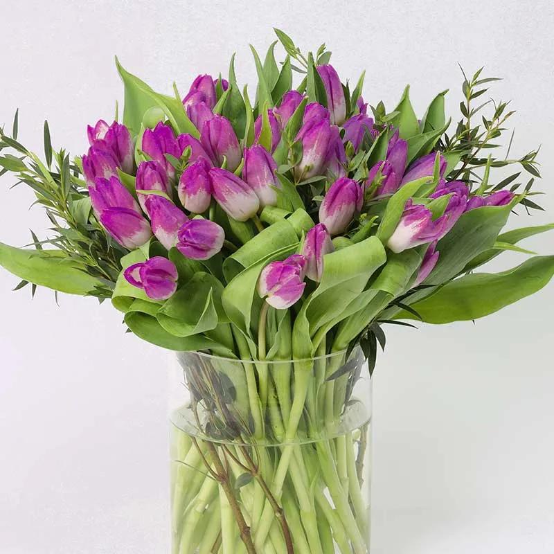 Forest 51 Purple Tulips - Flowers gift from Buy Any Flowers Dubai in Al Quoz Industrial Area 4, Dubai, UAE - image 2