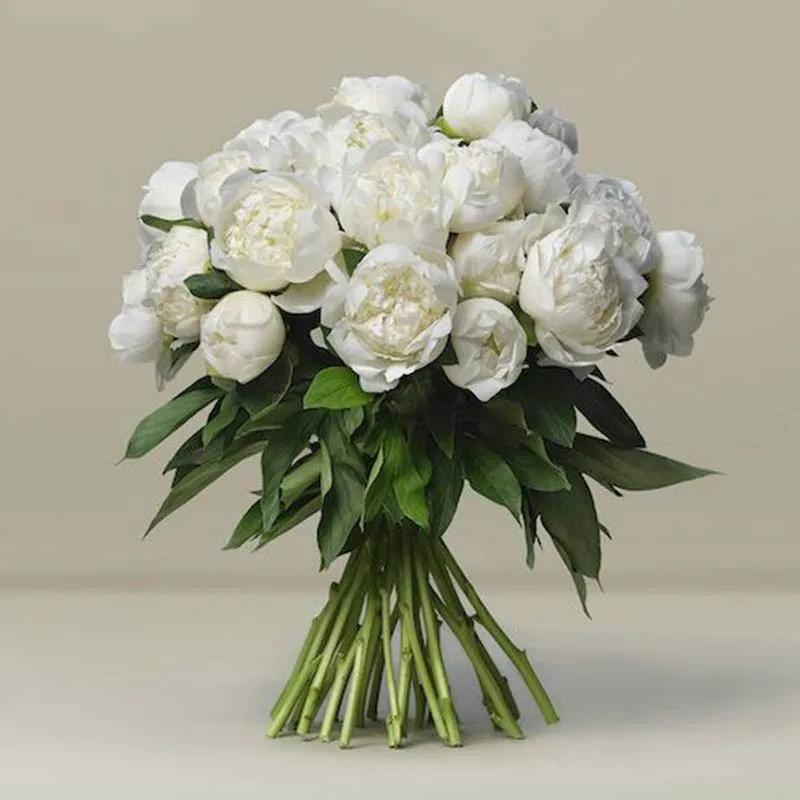freeze-30-white-peonies-bunch_1.webp