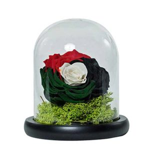 uae-flag-color-forever-rose-large_1.webp