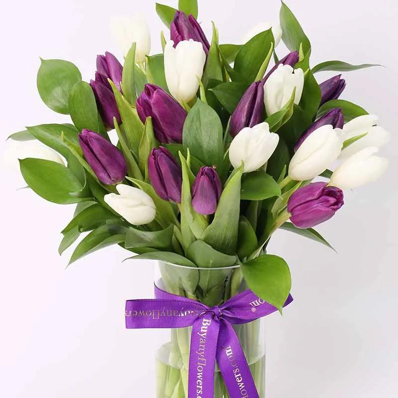 Dark and White Beauty 19 Tulips thumbnail 3