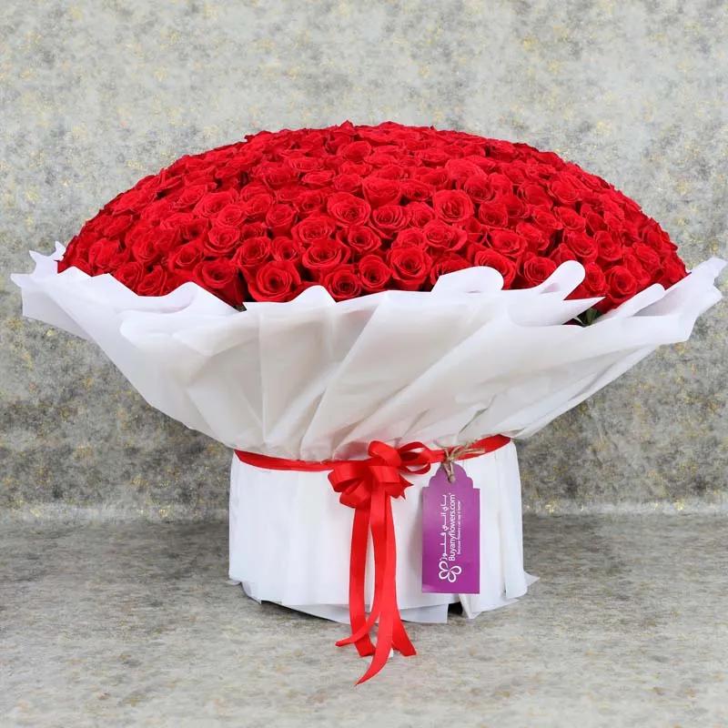 grand-751-red-roses-bouquet_1.webp