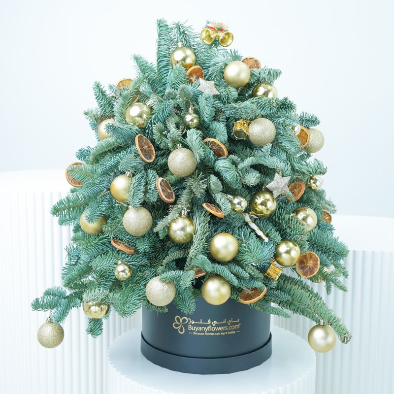 Christmas Tree Shape Arrangement Golden - Gifts gift from Buy Any Flowers Dubai in Al Quoz Industrial Area 4, Dubai, UAE