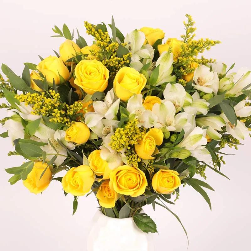 Natures Light thumbnail 3