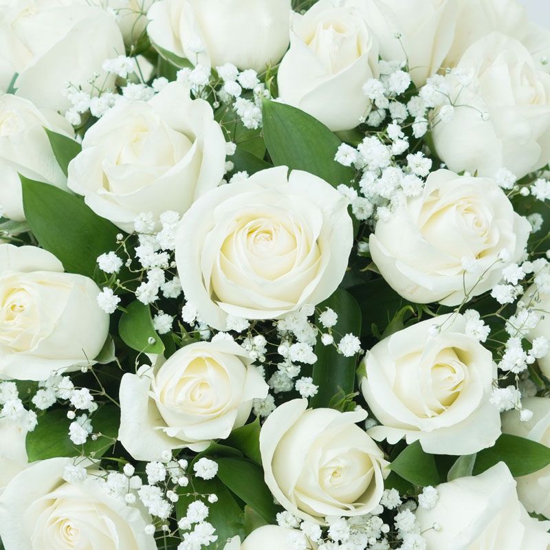 Peaceful 50 White Roses In Vase thumbnail 3
