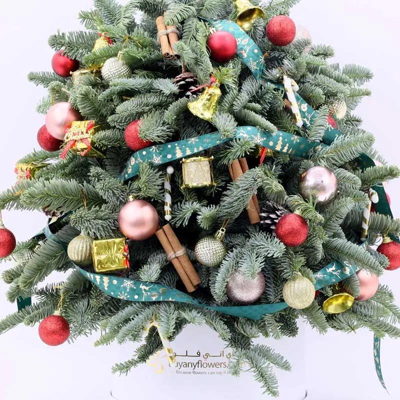 Christmas Tree Shape Arrangement thumbnail 2