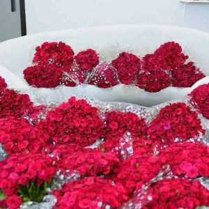 one-and-only-1501-red-roses_1.webp