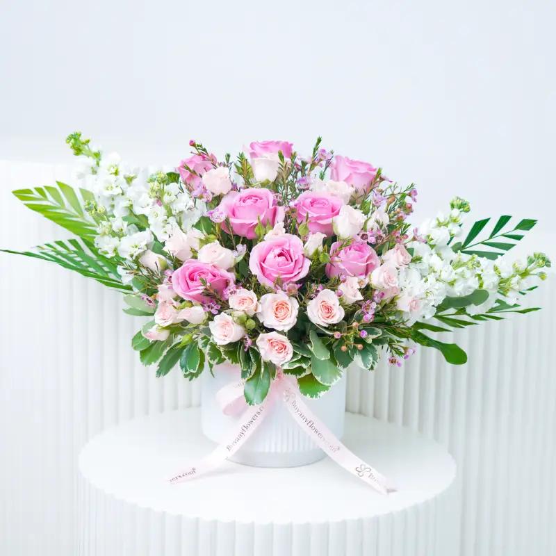 Blush Flowers in White Ceramic Pot and Teddy - Gift Sets gift from Buy Any Flowers Dubai in Al Quoz Industrial Area 4, Dubai, UAE - image 2