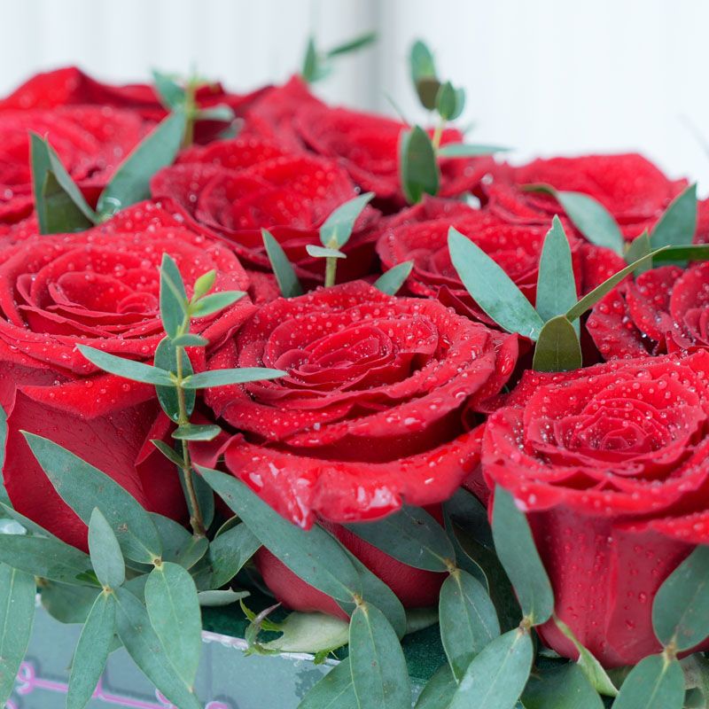 Classic Love 12 Red Roses in Tray thumbnail 3
