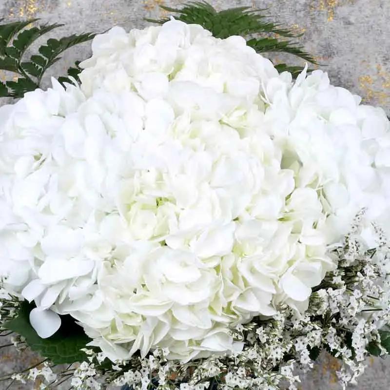 Elegant White Hydrangea Arrangement - Flowers gift from Buy Any Flowers Dubai in Al Quoz Industrial Area 4, Dubai, UAE - image 3